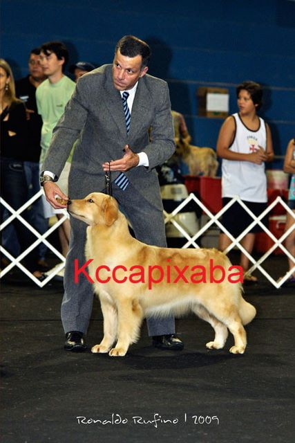 Clique sobre a foto para fechar